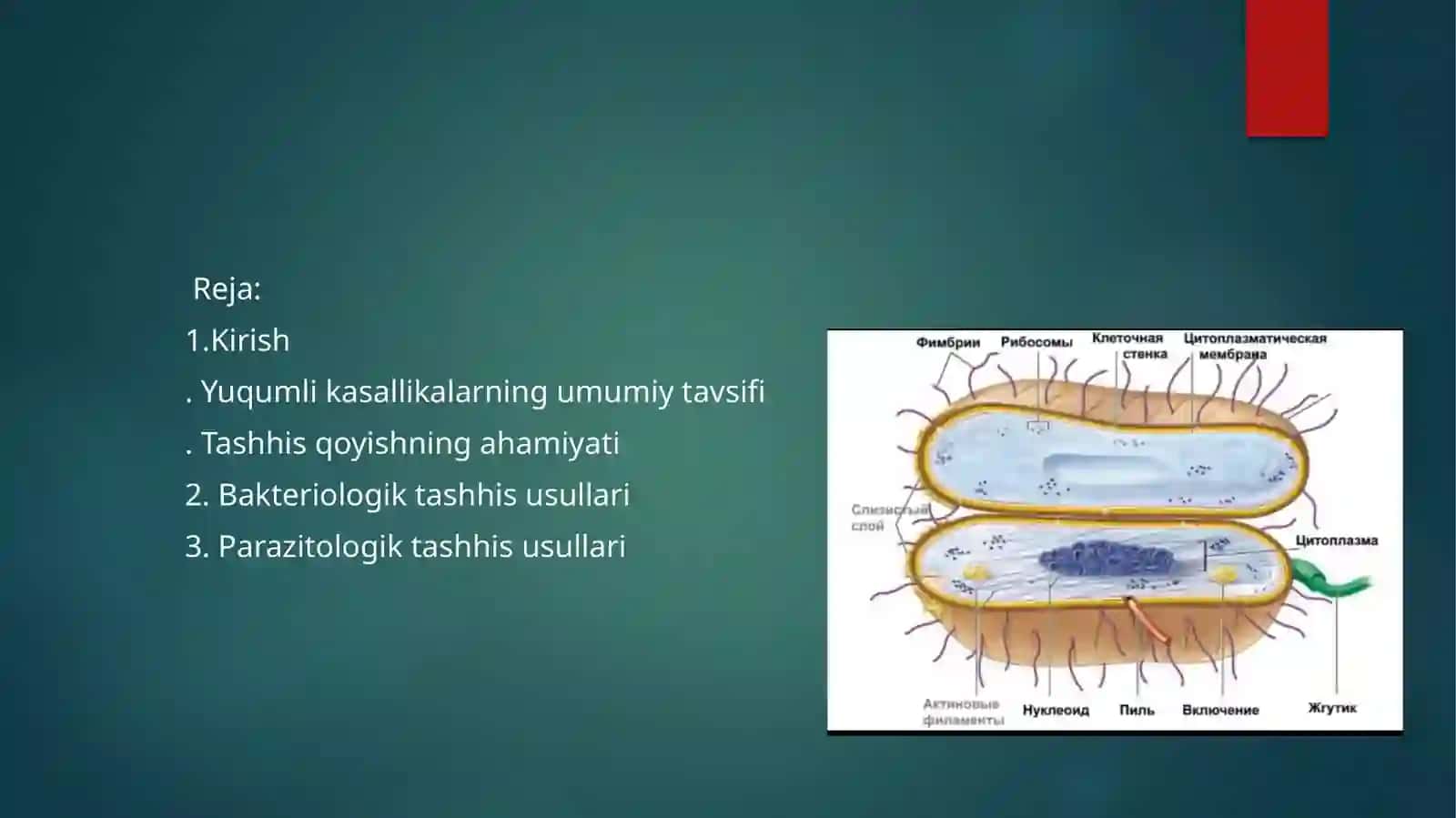 yuqumlikasalliklarga bakteriologik,parazitalogik,mikologik,virusologik Serologik,biologiktashhisqoʻyishusullari 2