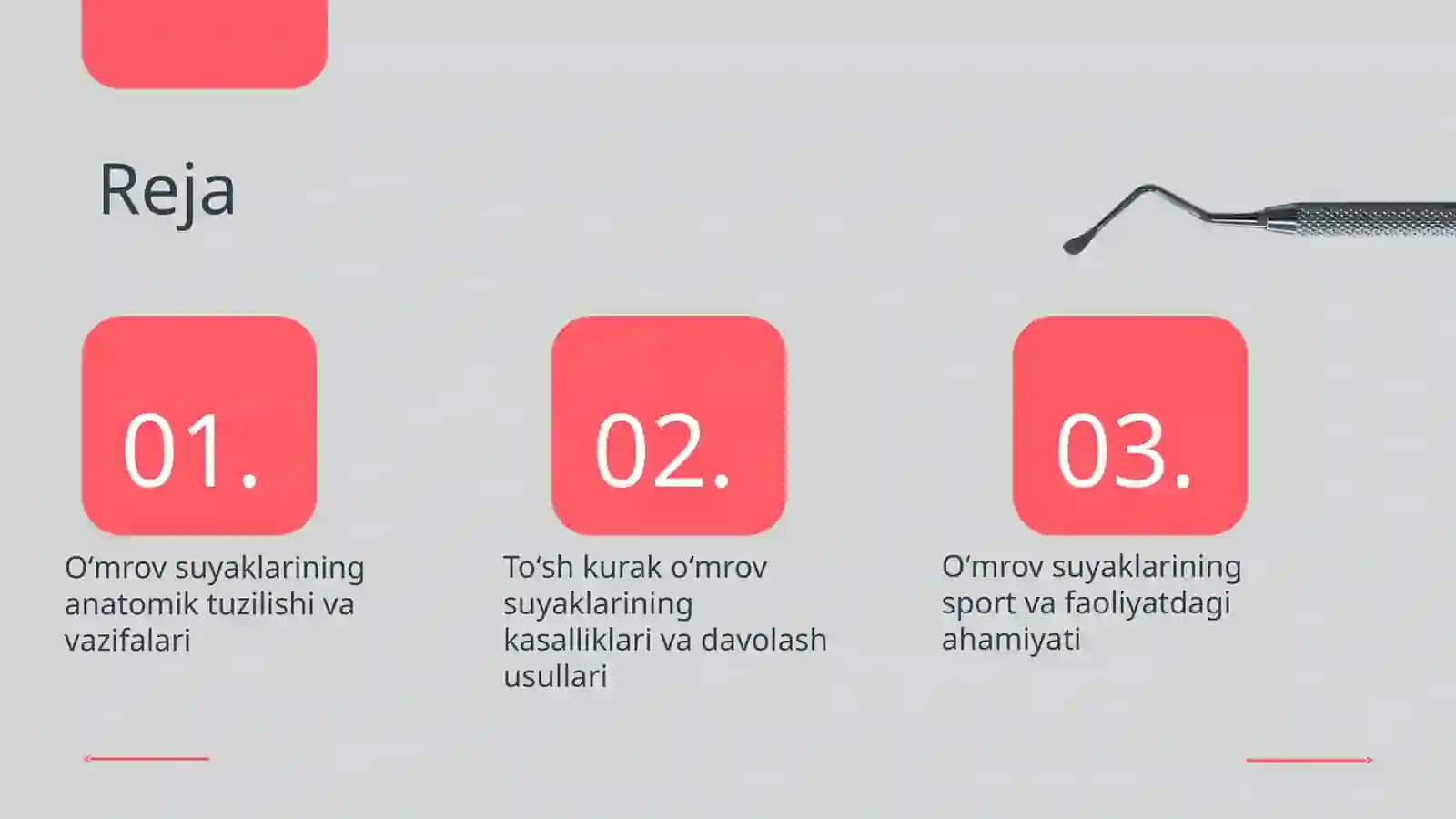 Toʻsh kurak oʻmrov suyaklari haqida taqdimot 2