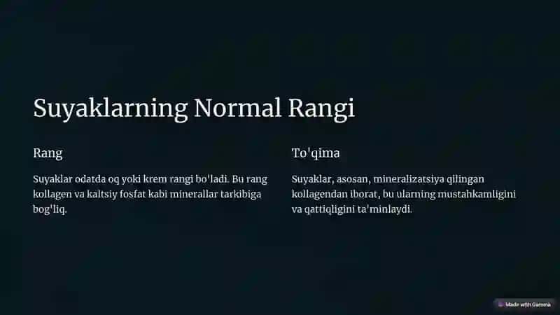 Suyaklarning Rengin.Anatomiya vaRivojlanishAnomaliyalari 2