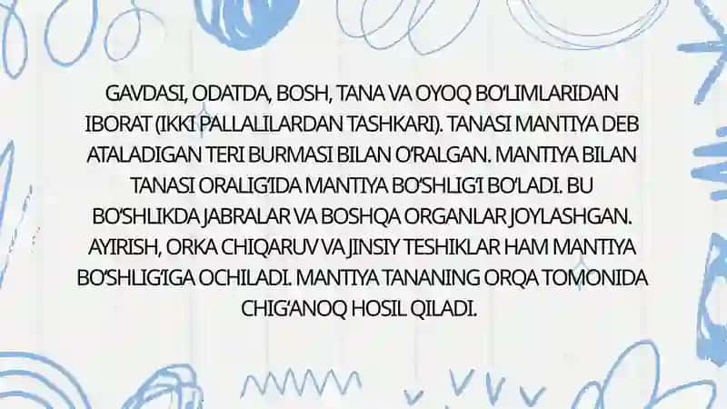 Toʻrayeva Mavjudaning Zoologiya Fanidan Tayyorlagan Taqdimoti 2