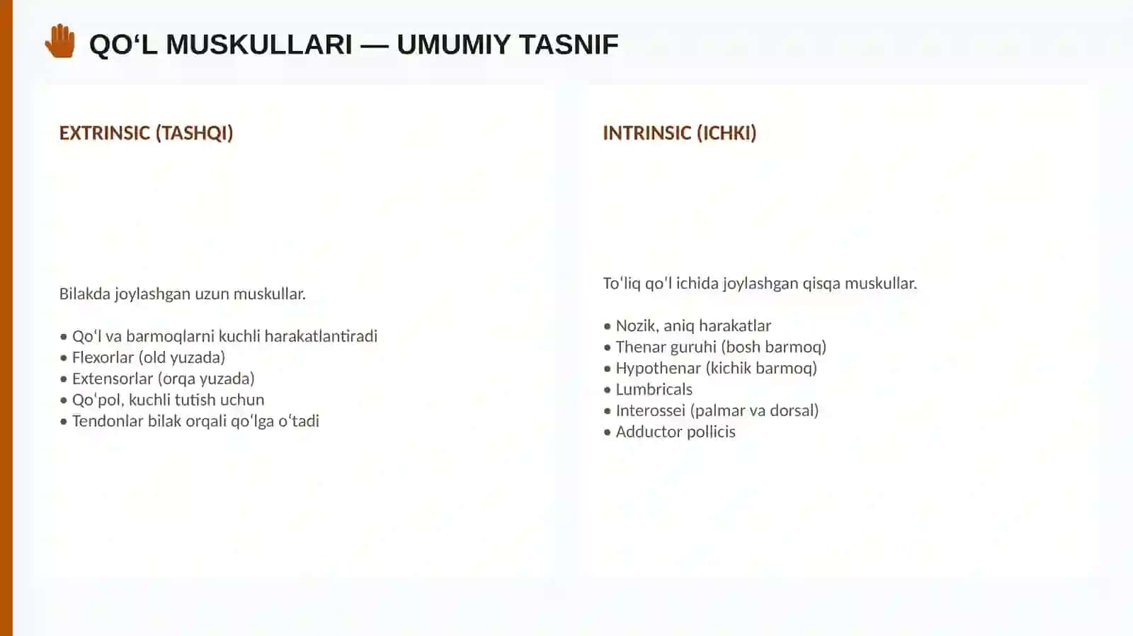 Qo'l muskullari 2