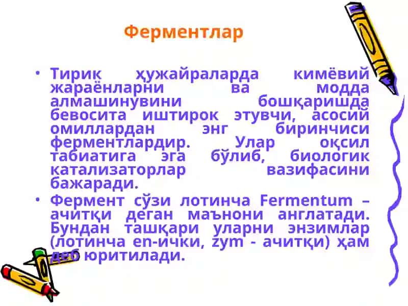 Ферментлар 2