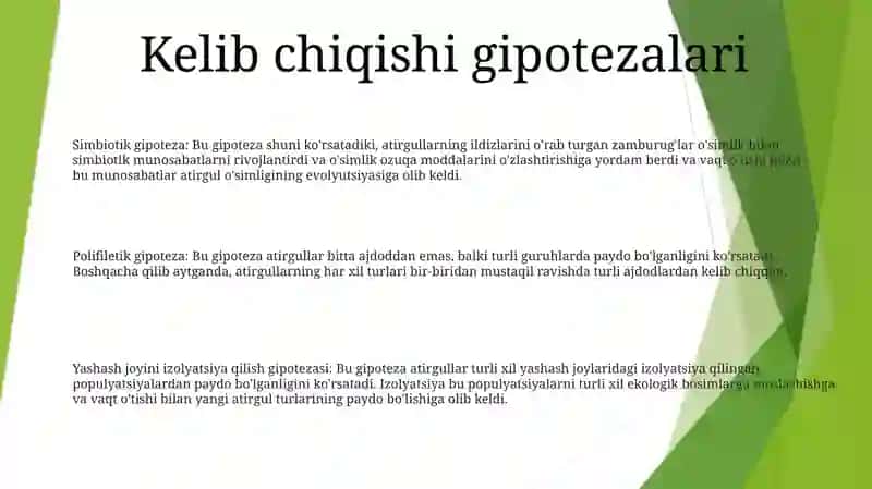 Gulli OʻSimliklarni Kelib Chiqishi 2
