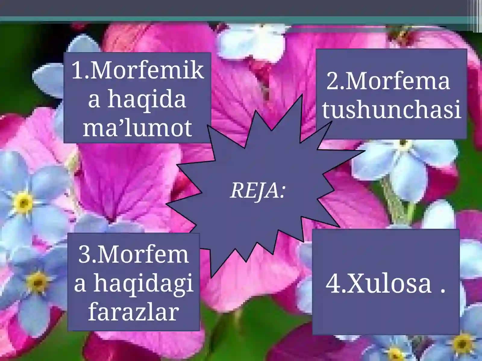 Morfemika 2