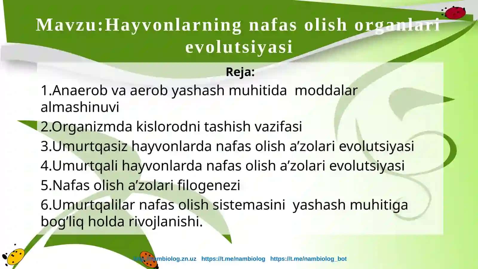 11-sinf Biologiya Hayvonlarning nafas olish organlari evolutsiyasi dars ishlanma 2