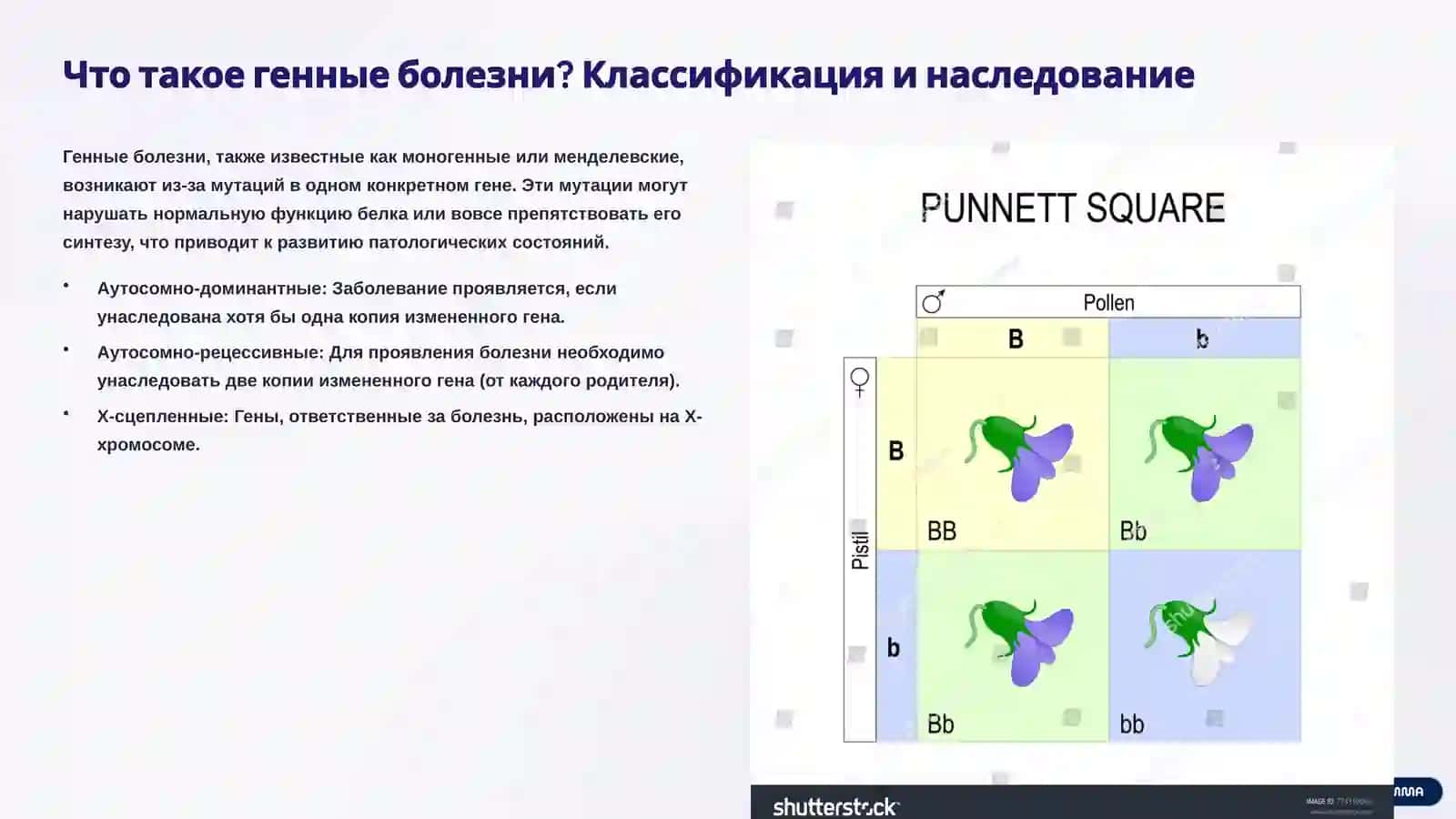Генные (менделевские) болезни: Понимание основ 2