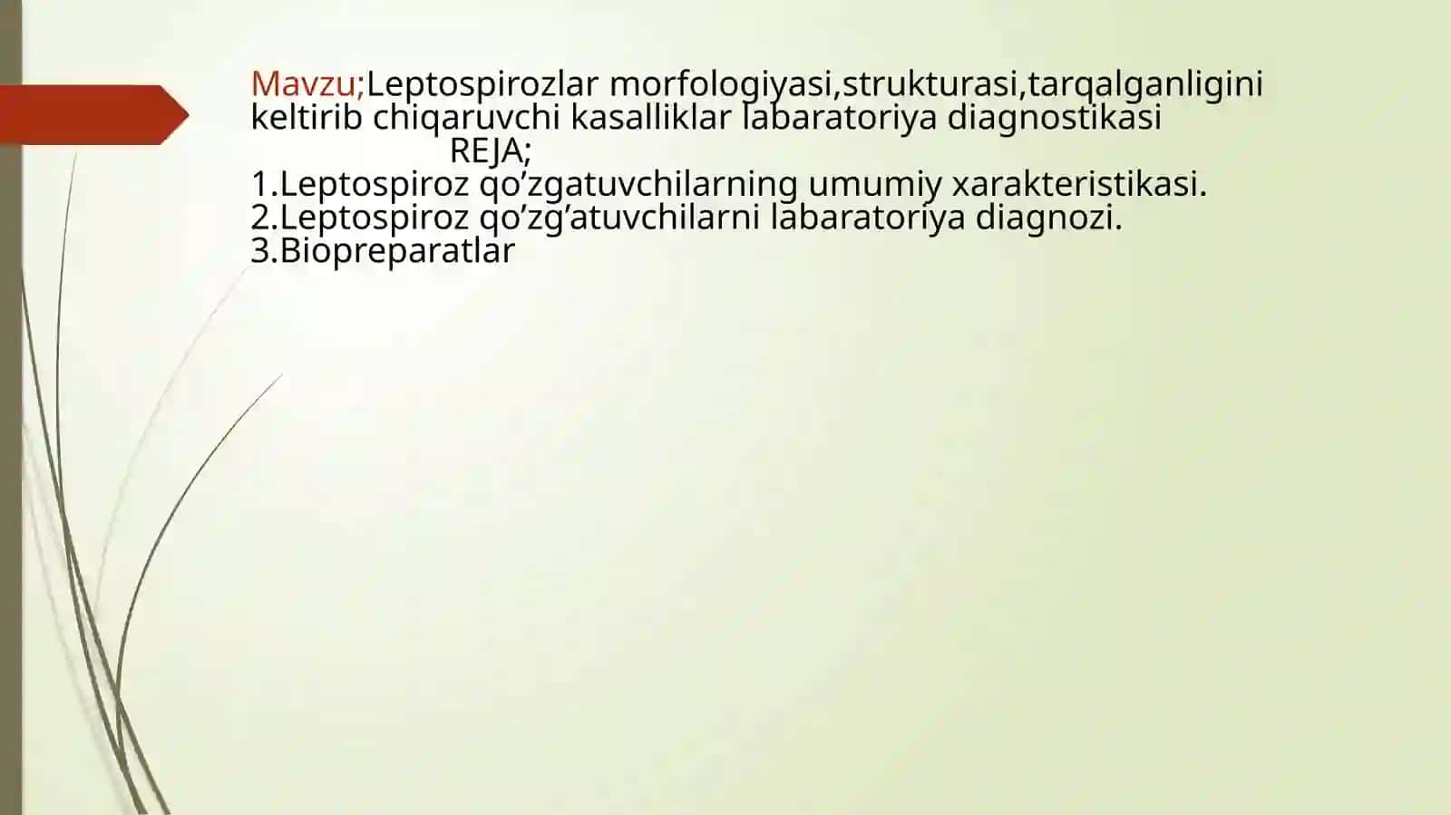 Mavzu;Leptospirozlar morfologiyasi,strukturasi,tarqalganligini keltirib chiqaruvchi kasalliklar labaratoriya diagnostikasi haqida to'liq ma'lumot 2