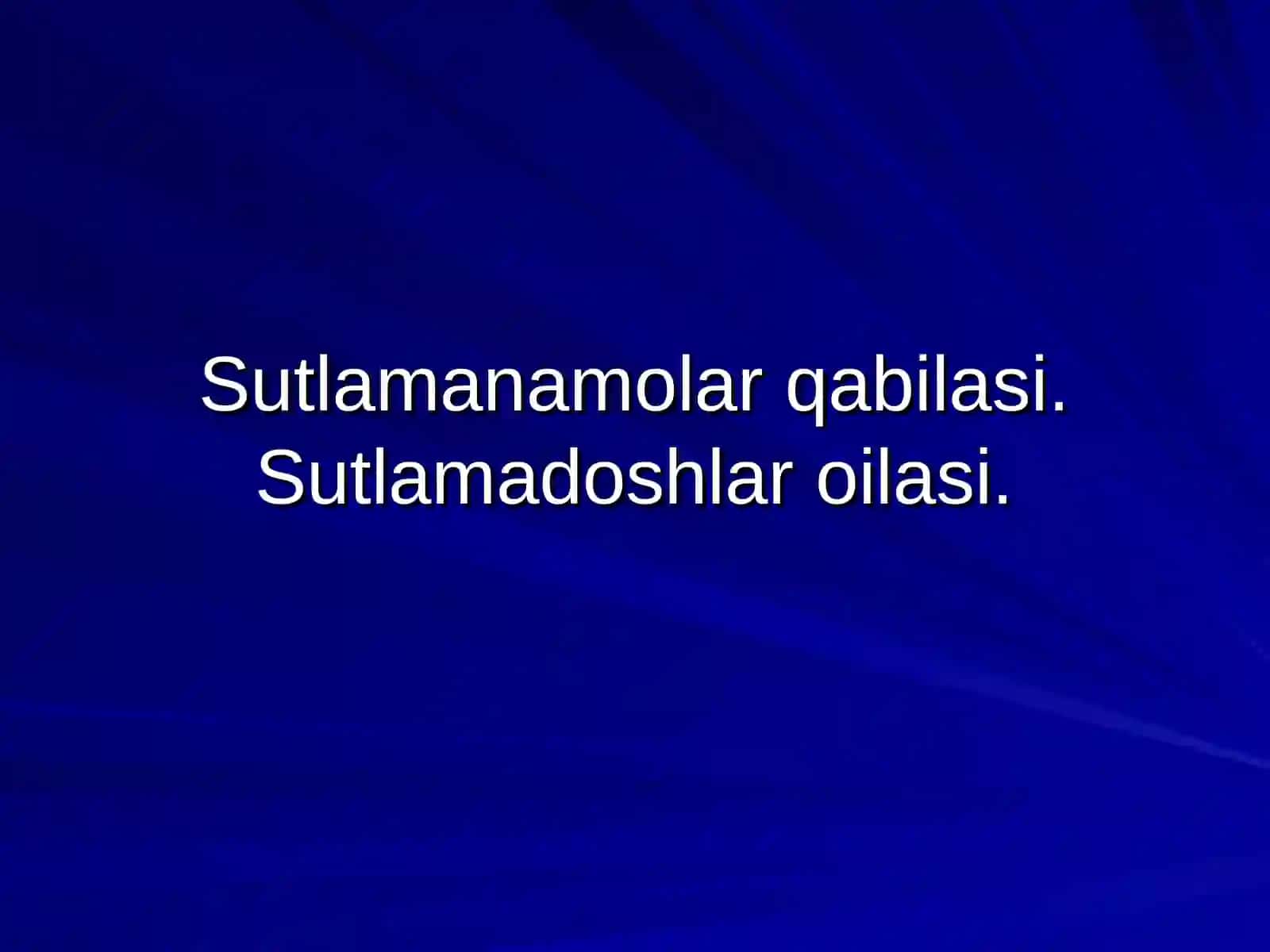 Sutlamagullilar qabilasi vakillari 2
