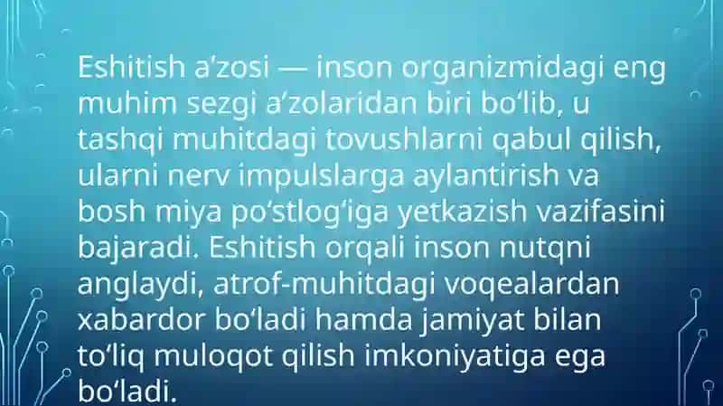 Eshitish a’zosining tuzilishi 2