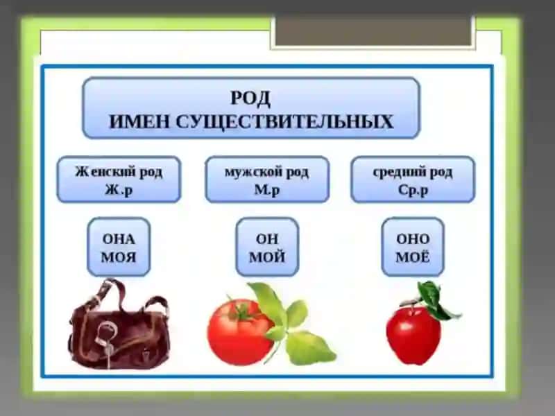 ТЕМА №2.ОБРАЗОВАНИЕ МНОЖЕСТВЕННОГО ЧИСЛА СУЩЕСТВИТЕЛЬНЫХ 2