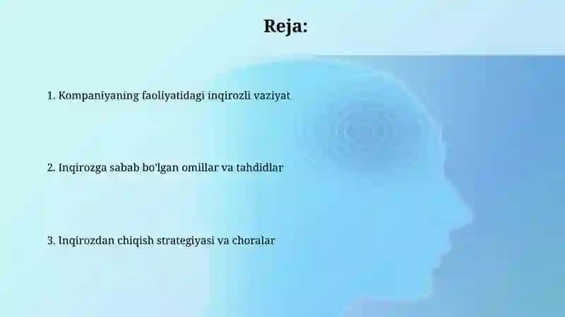 Inqirozga qarshi choralar va strategiya 2