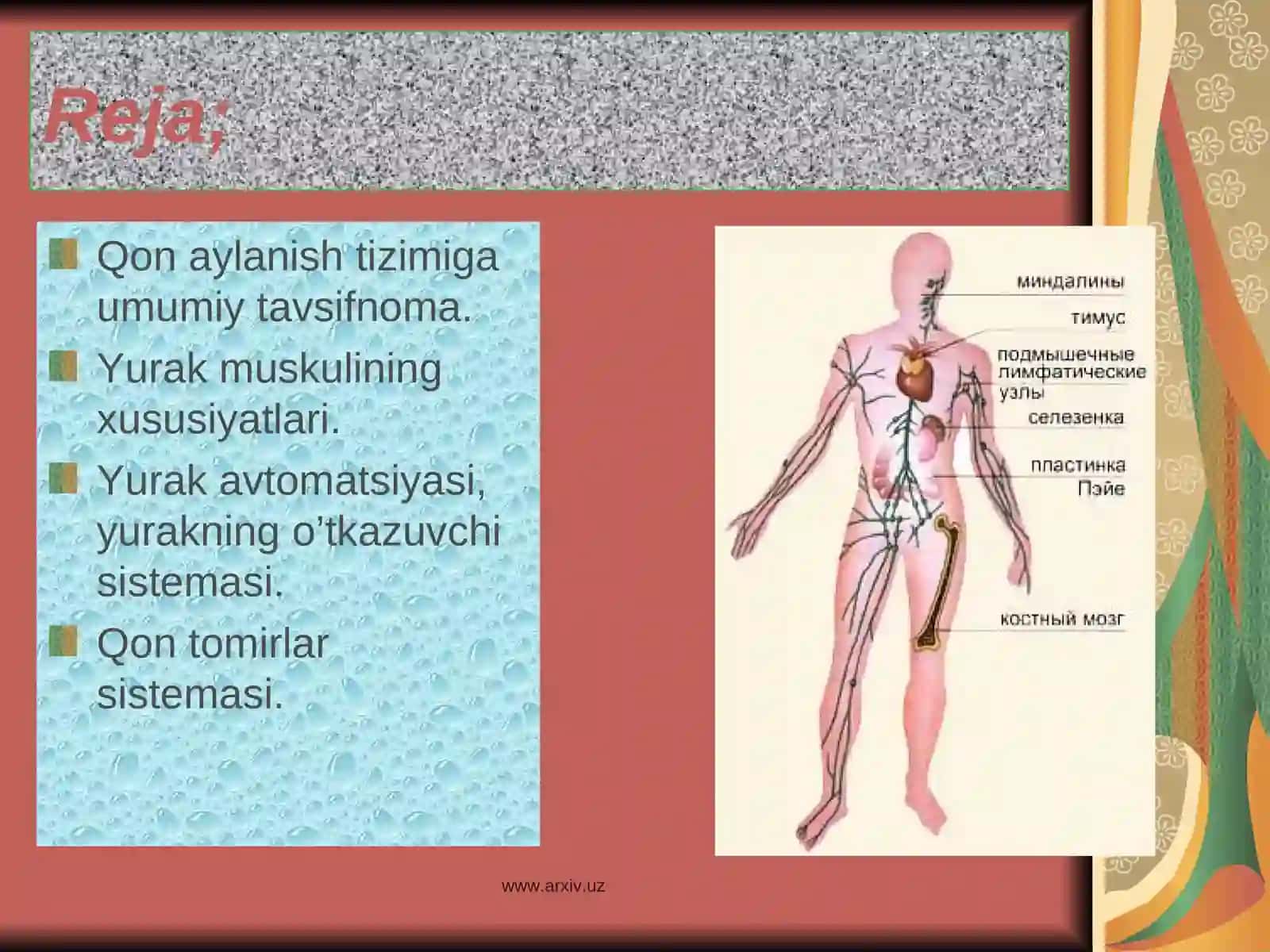 Yurak qon tomir fiziologiyasi 2