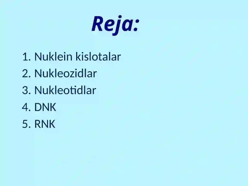 Nuklein kislotalar, nukleozidlar, nukleotidlar, DNK va RNK tuzilishi 2