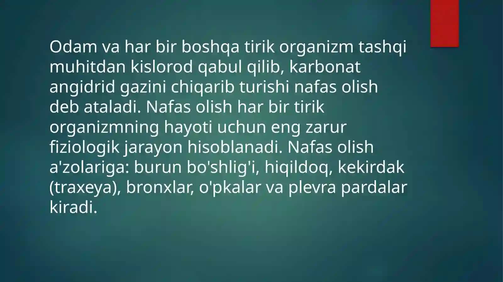 Burun, xalqum va xiqildoq trahaya Bronx va o’pkaning anato-fizialogik xususiyatlari 2