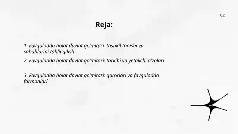 Favqulodda holat davlat qo'mitasi 2