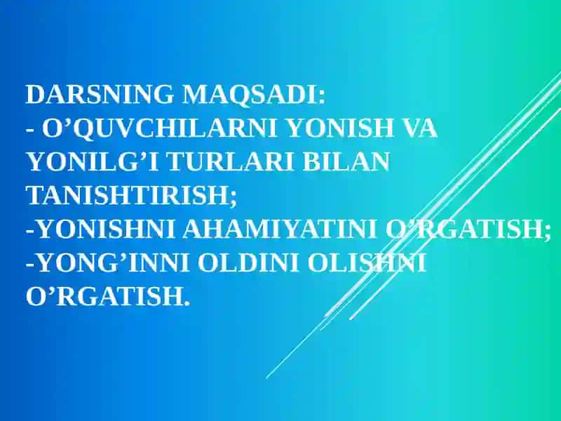 YONISH 2