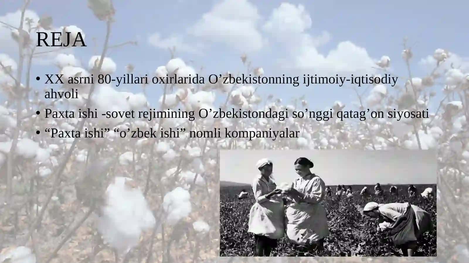 Paxta ishi  Sabab va oqibatlar 2