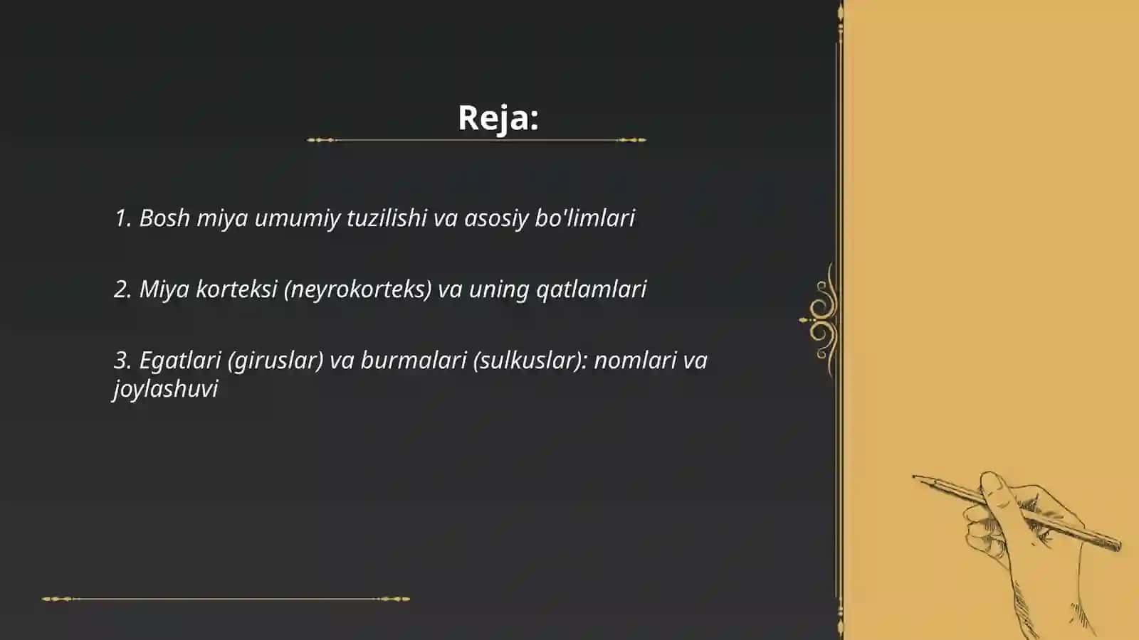 Egatlari va burmalari. Miya markazlari funksional markazlari haqida 2
