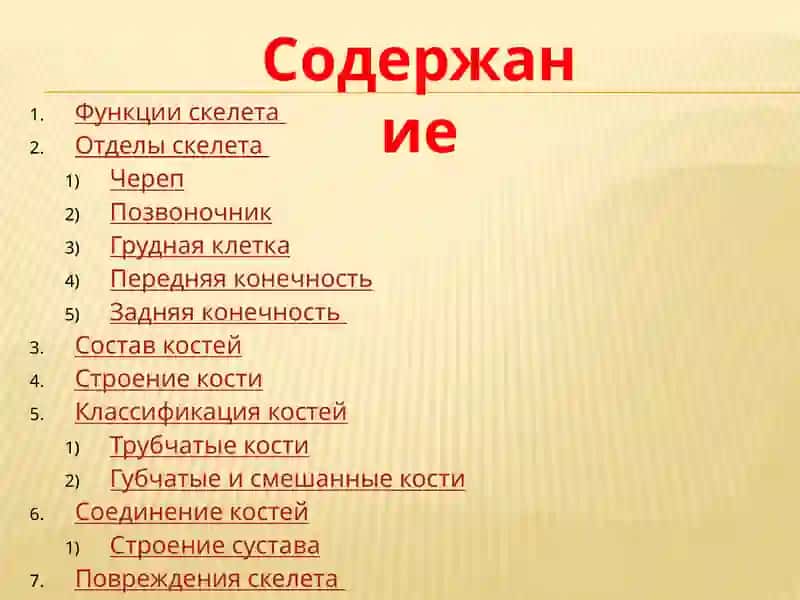 Скелет 2
