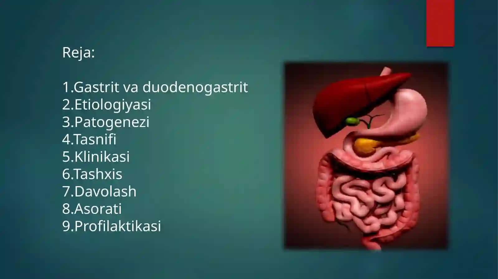 Gastritlar 2