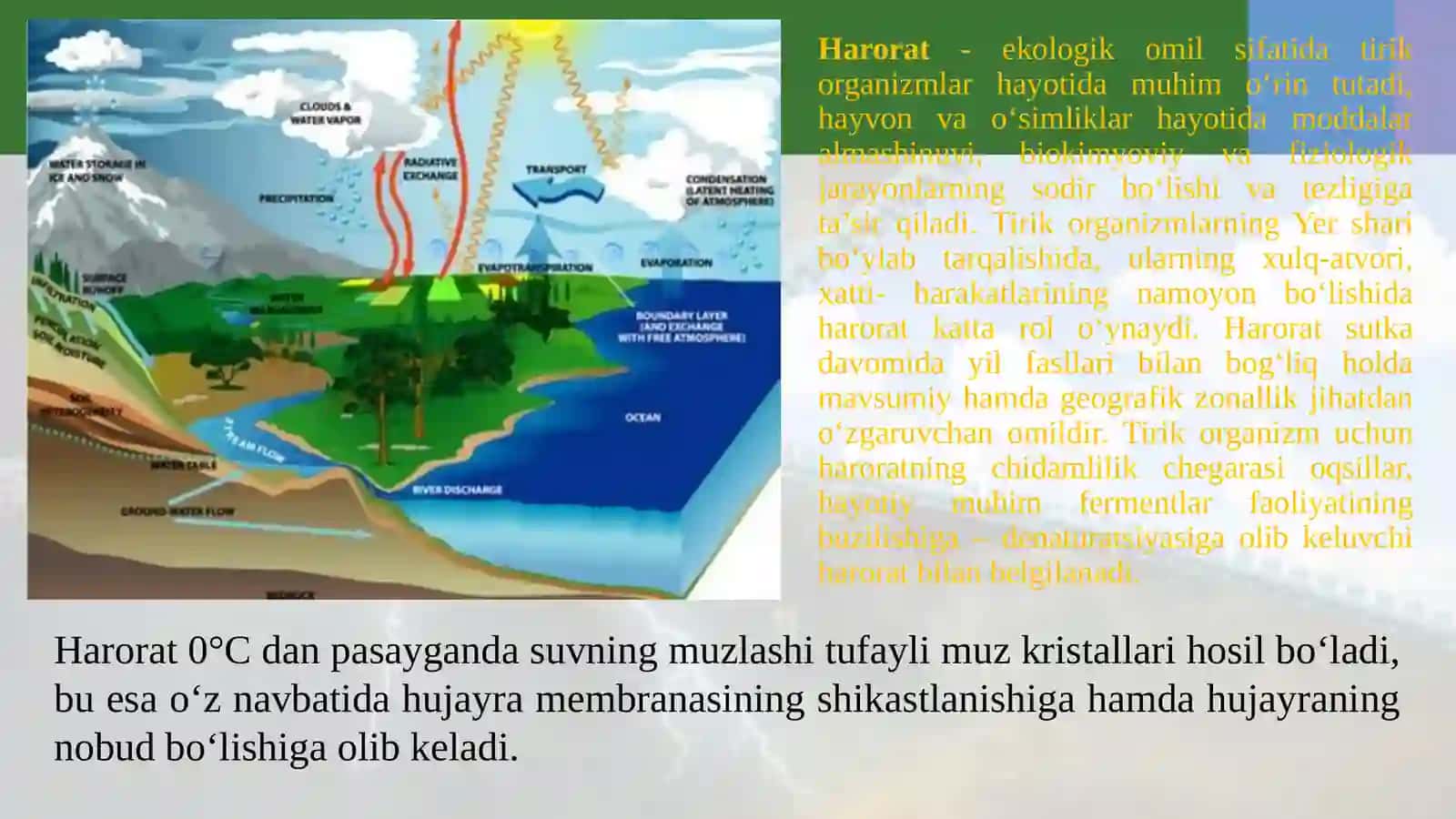 MUHIT VA EKOLOGIK OMILLAR. EKOLOGIYA VA INSON SOG’LIGI 2