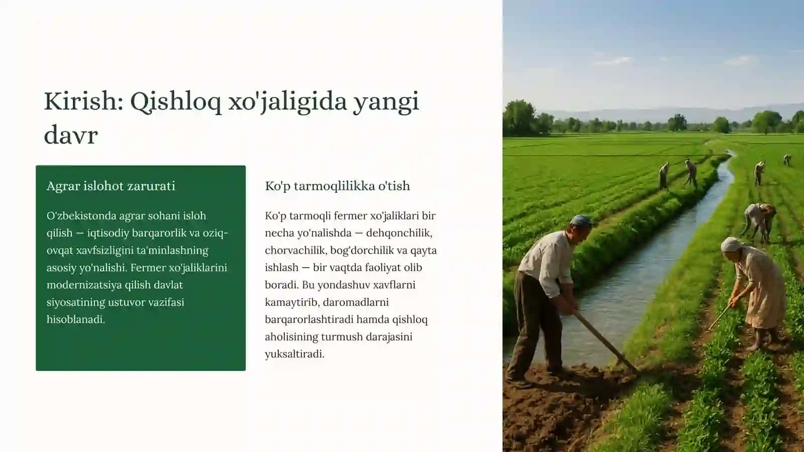 Ko'p tarmoqli fermer xo'jaliklari yerlarini tuzish va optimal joylashtirishning iqtisodiy asoslari 2