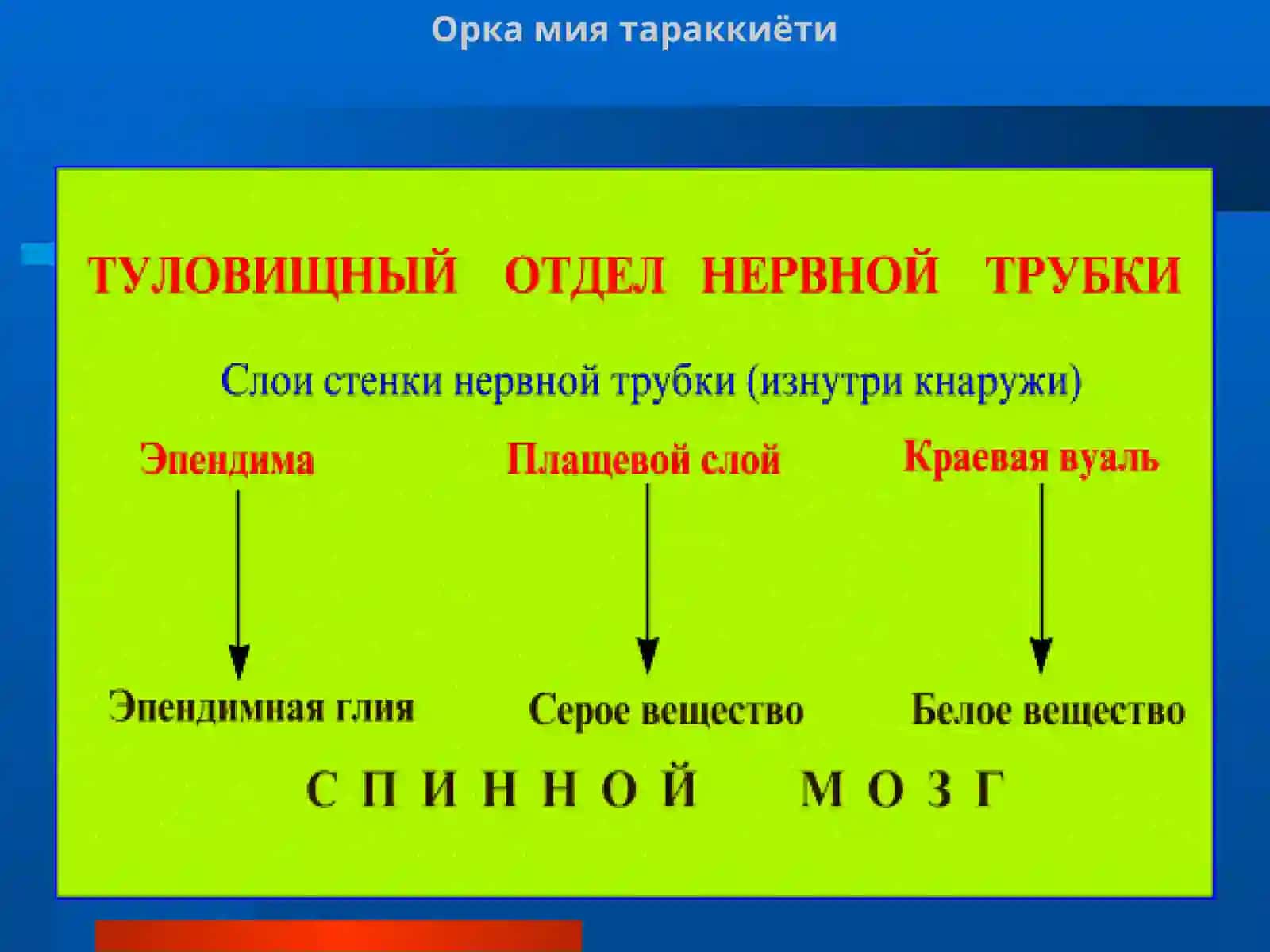 Оркамиятараккиёти 2