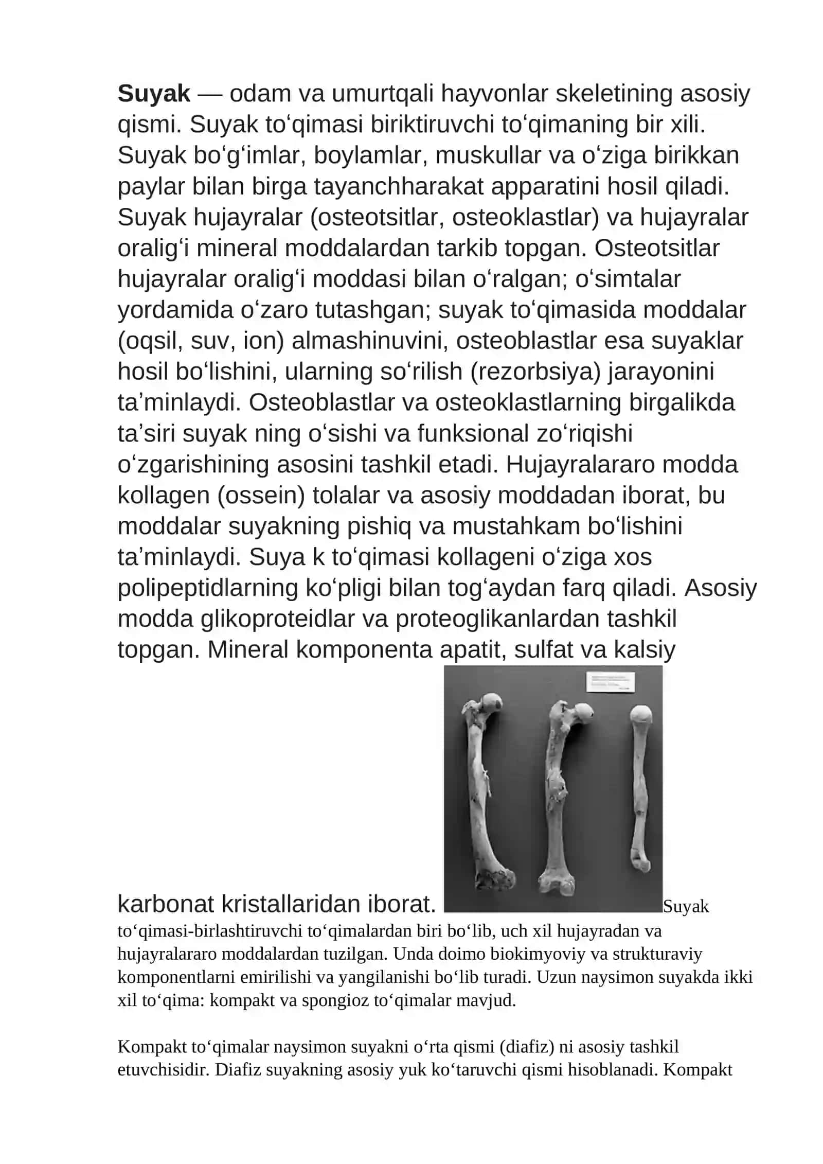 Suyaklar 2