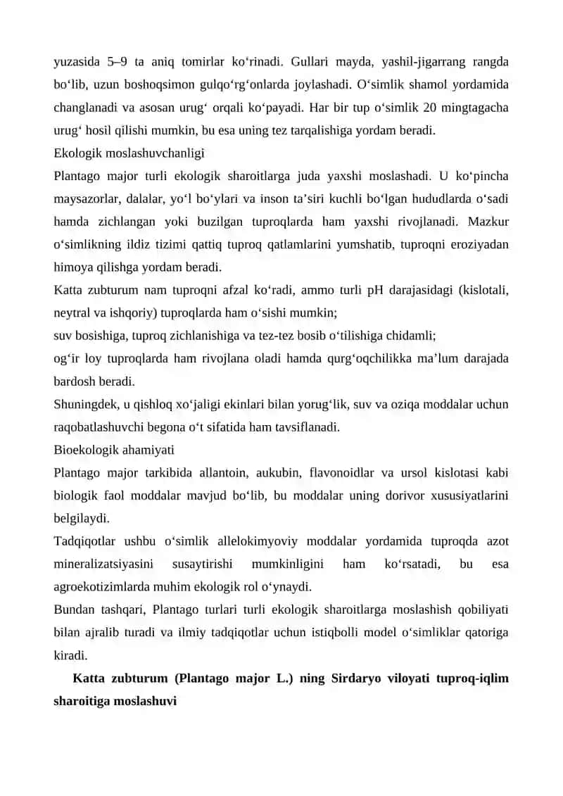 SIRDARYO VILOYATI TUPROQ IQLIM SHAROITIDA KATTA ZUBTURUM (PLANTAGO MAJOR L.) O‘SIMLIGINING BIOEKOLOGIK XUSUSIYATLARI VA YETISHTIRISH TEXNOLOGIYASI 2