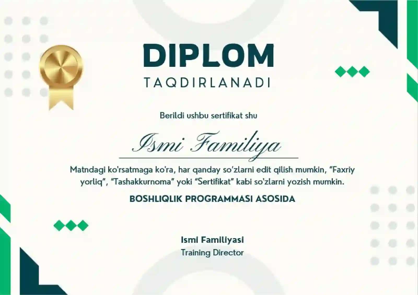 DIPLOM 2