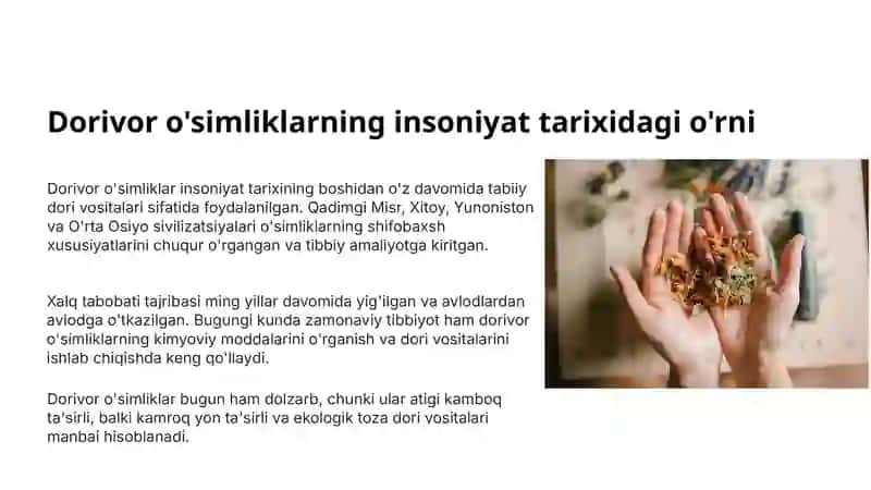 Dorivor o'simliklar va ularning tibbiy qo'llanilishi 2