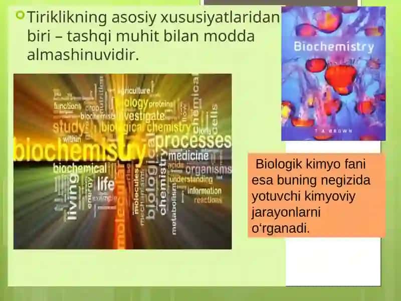Energiya metobolizmi 2