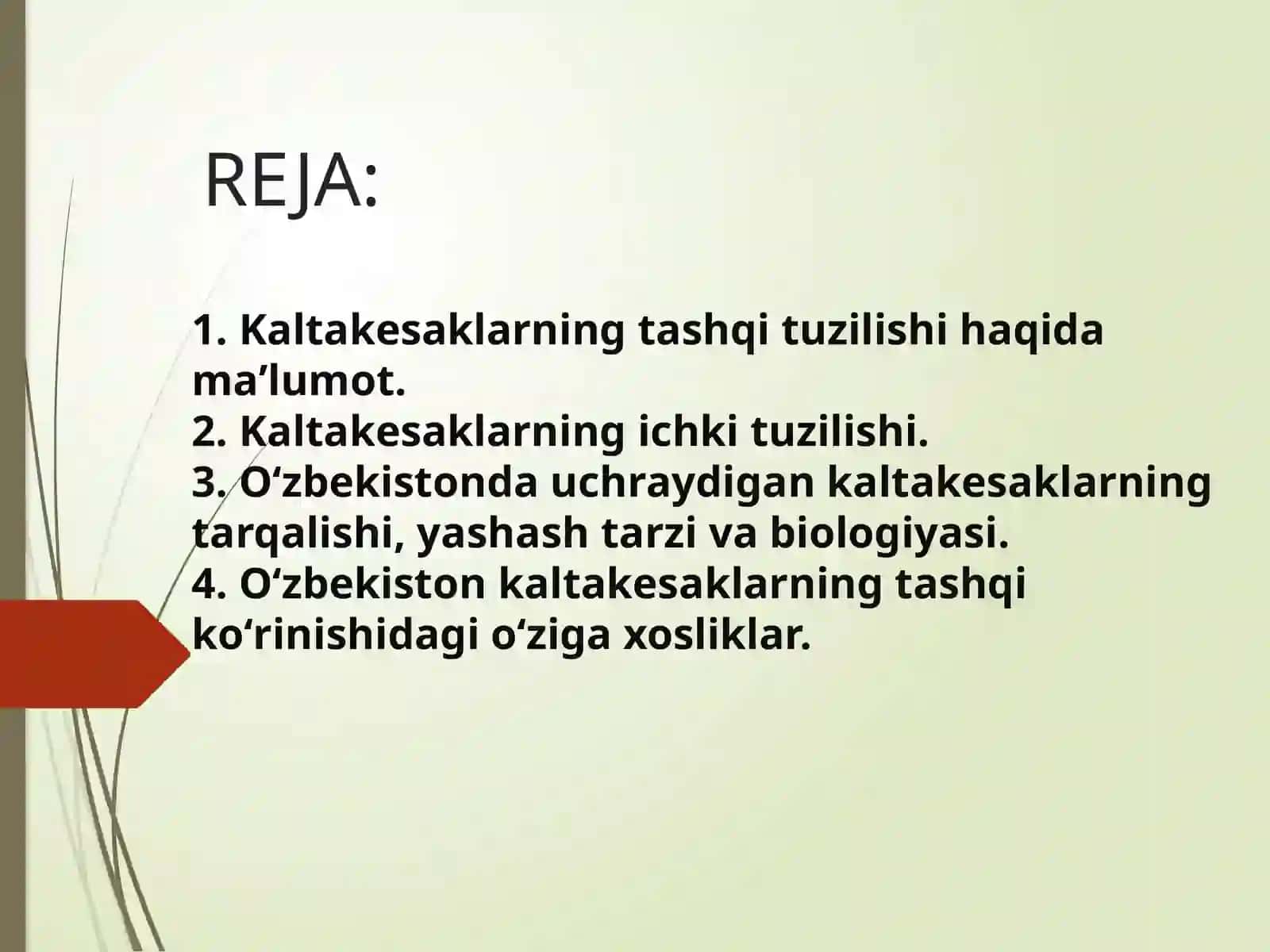 KALTAKESAKLAR,OʻZBEKISTON FAUNASIDAGI ASOSIY TURLARINING HAYOTI 2