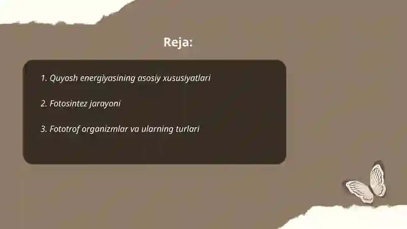 Quyosh energiyasi oqimining fototrof ekosistemalar orqali oʻzlashtirilishi 2
