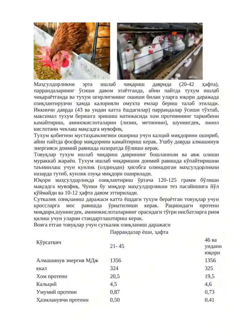 Ozuqa ryetsyptlarni tuzish va to‘yimligini baholashning zamonaviy usullari 2