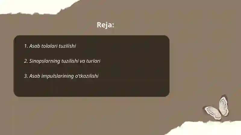 Asab tolalari sinapslarning xossalari 2