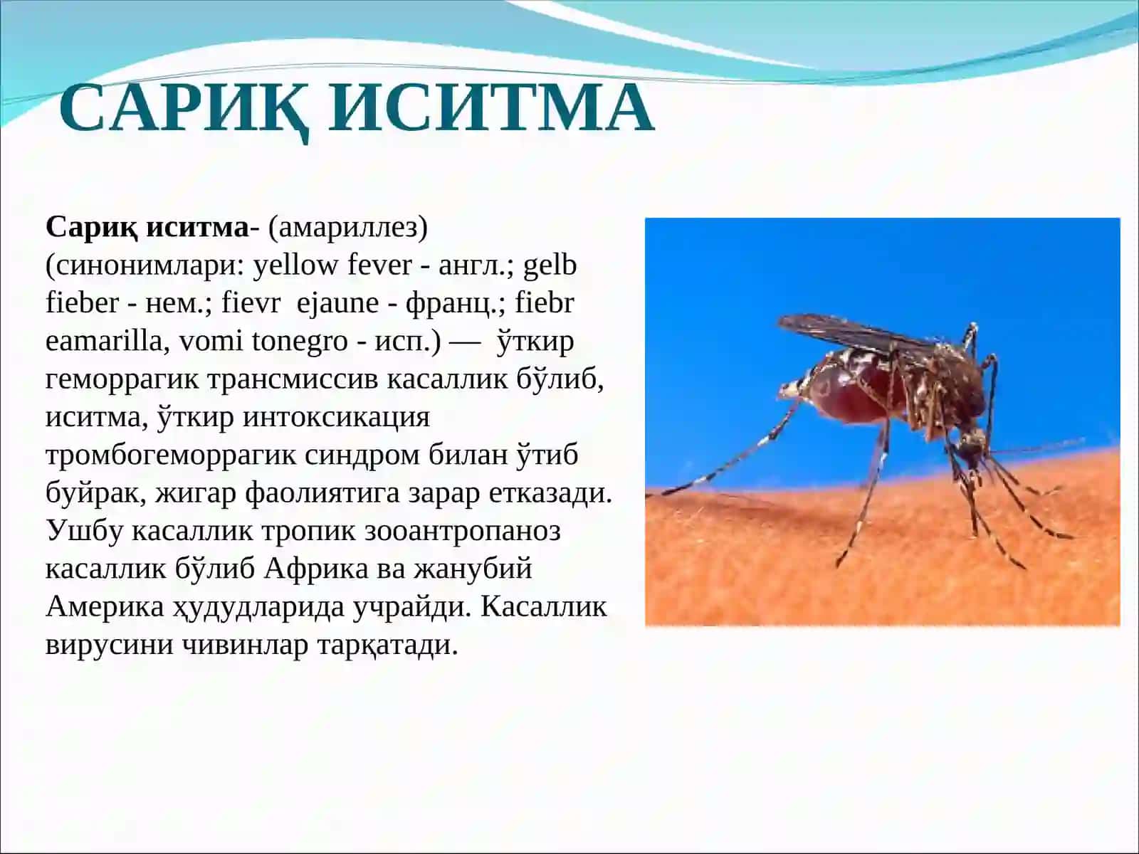 САРИҚ ИСИТМА 2
