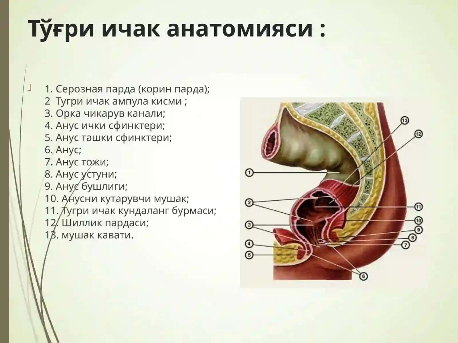 Йугон ва тугри ичак раки 2