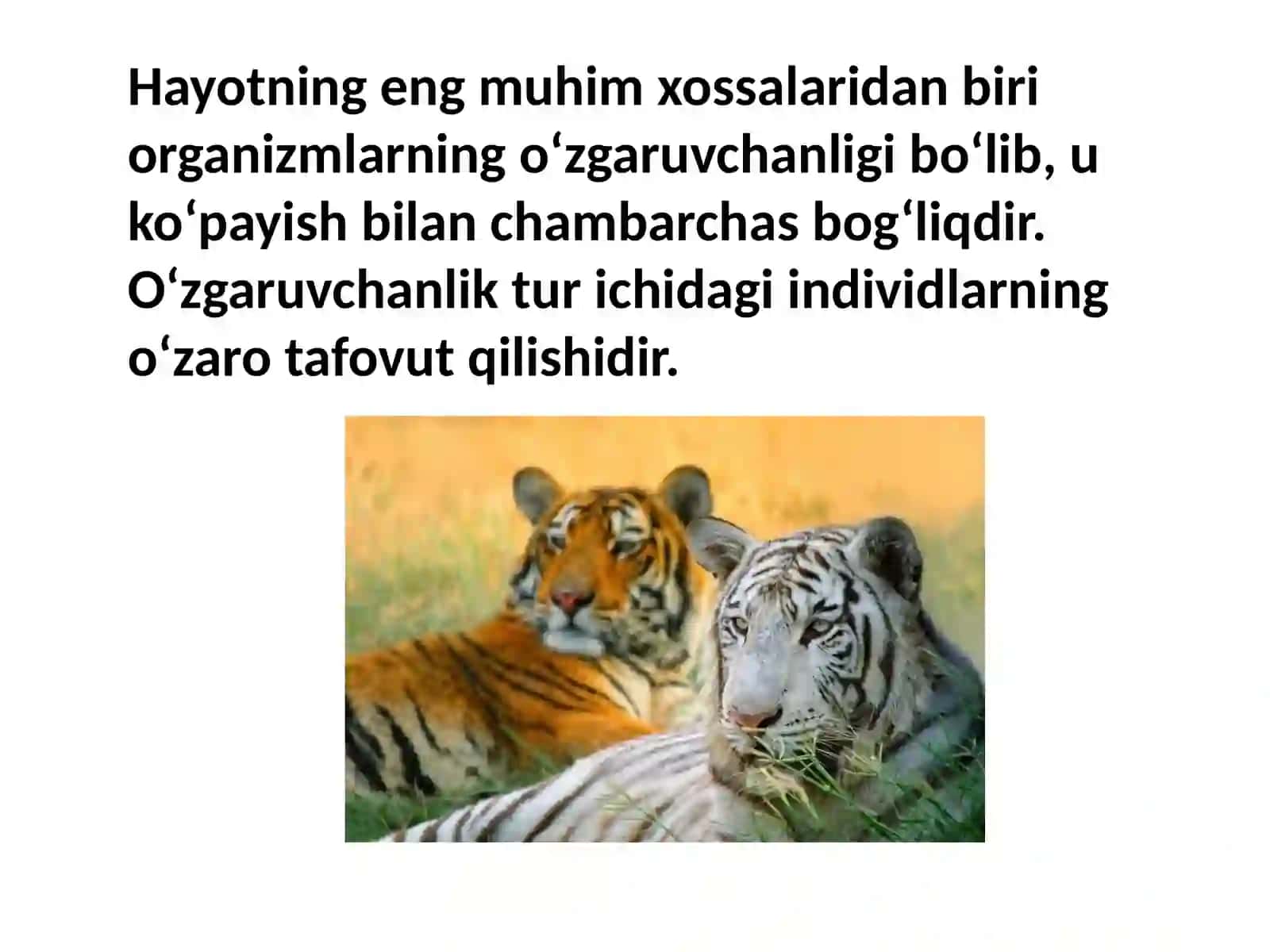 Irsiyat va o’zgaruvchanlik qonunlari 2