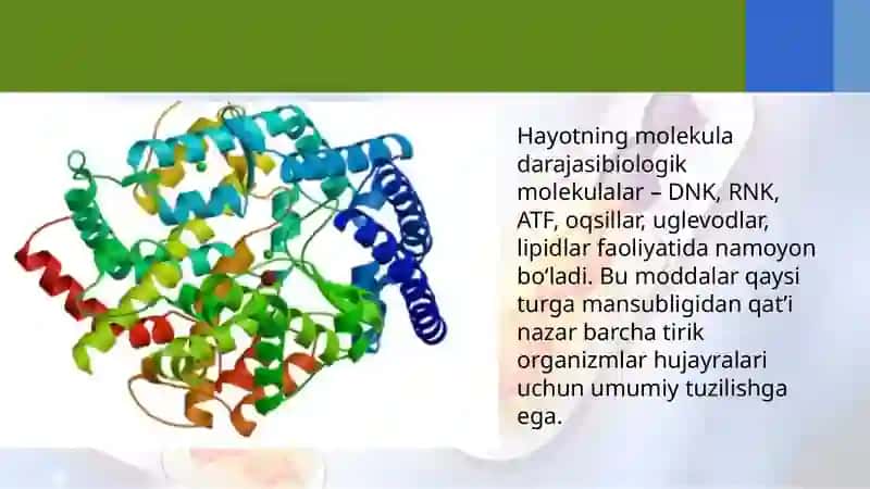 Uglevodlar va lipidlar 2