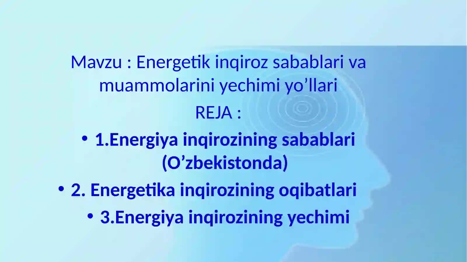 Energetik inqiroz sabablari va muammolarini yechimi yo’llari 2