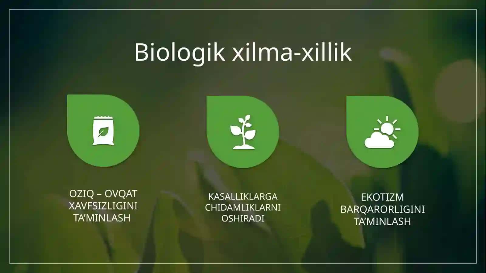 Oʻsimliklar dunyosi barqarorligini taʼminlash 2