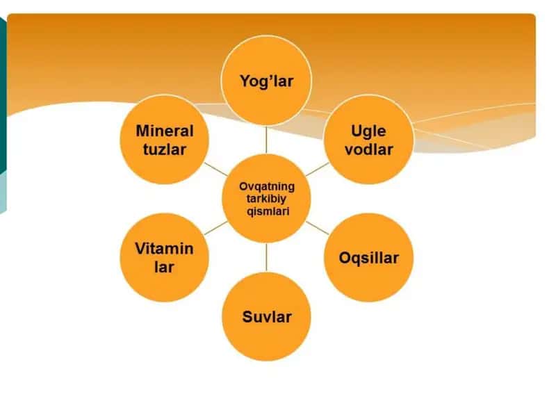Ovqatlanishning fiziologik asoslari 2