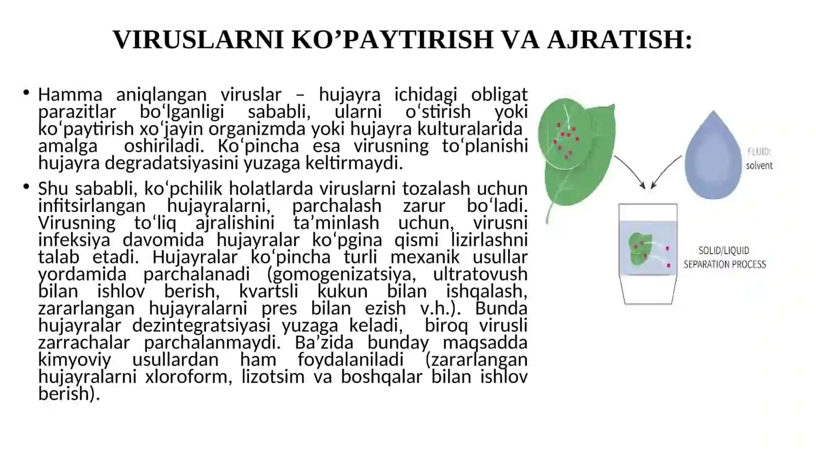 VIRUSLARNI KO’PAYTIRISH VA AJRATISH 2
