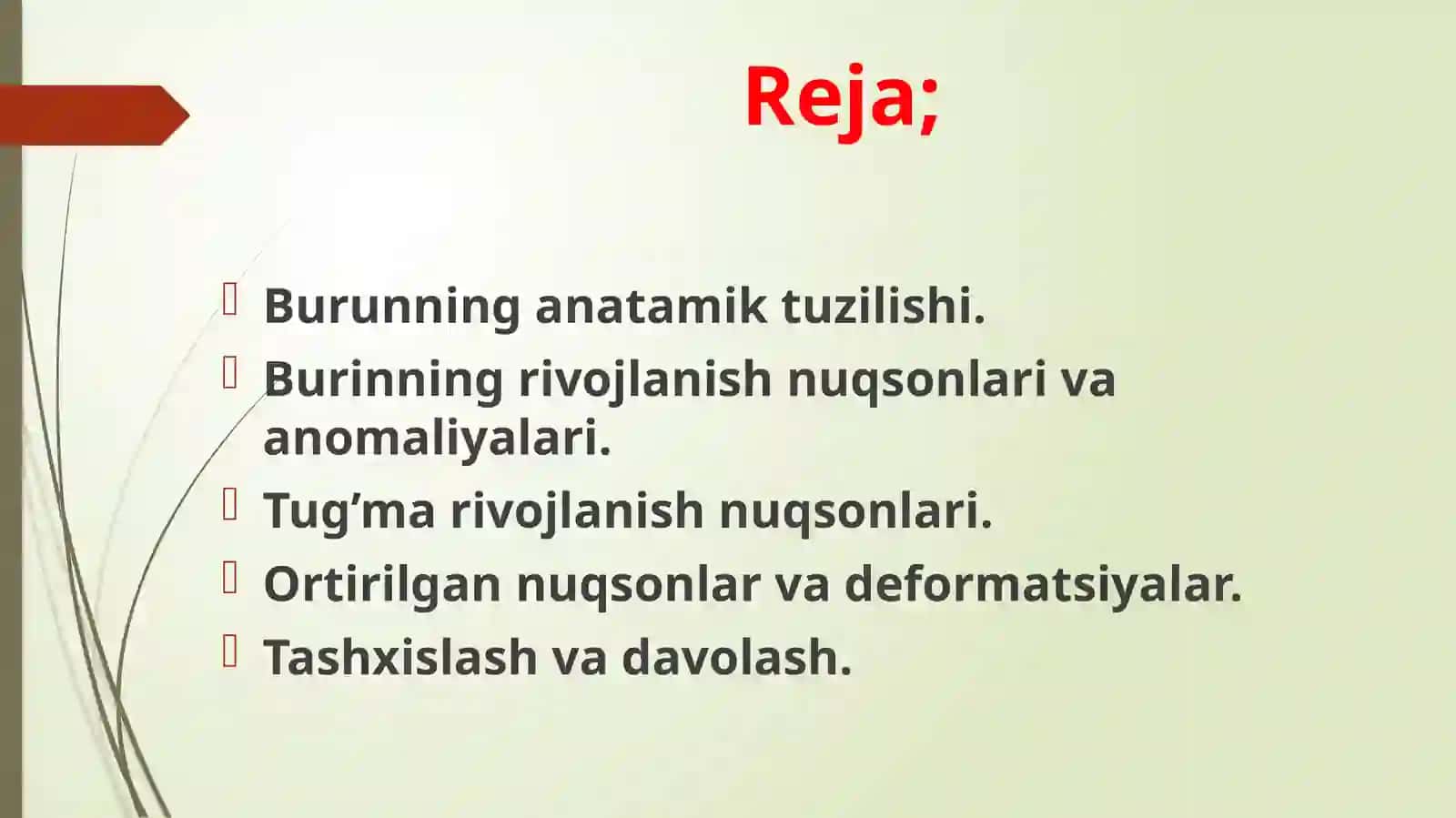 Burunningtuzilishivarivojlanishnuqsonlari 2