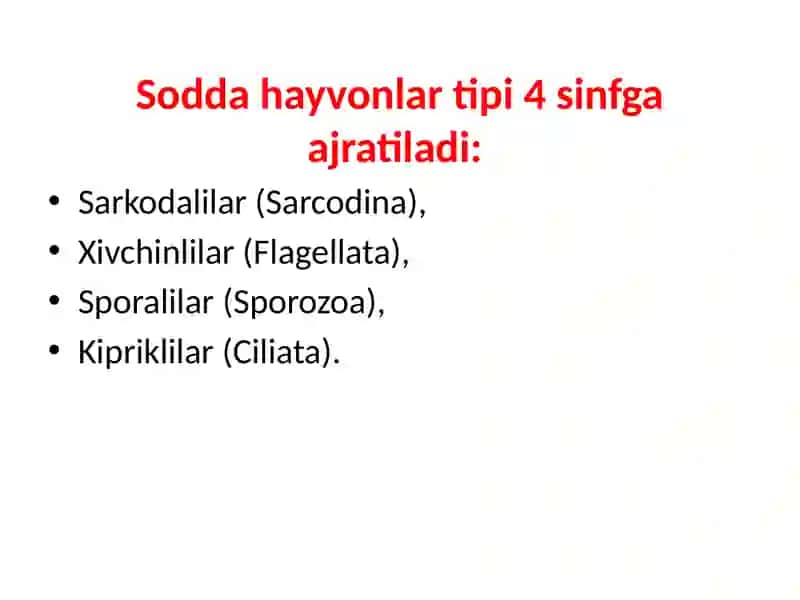 SODDA HAYVONLAR (PROTOZA) TIPI 2