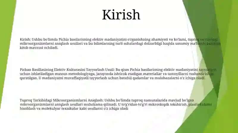 Pichan Basillasining Elektiv Kulturasini Tayyorlash Usuli 2