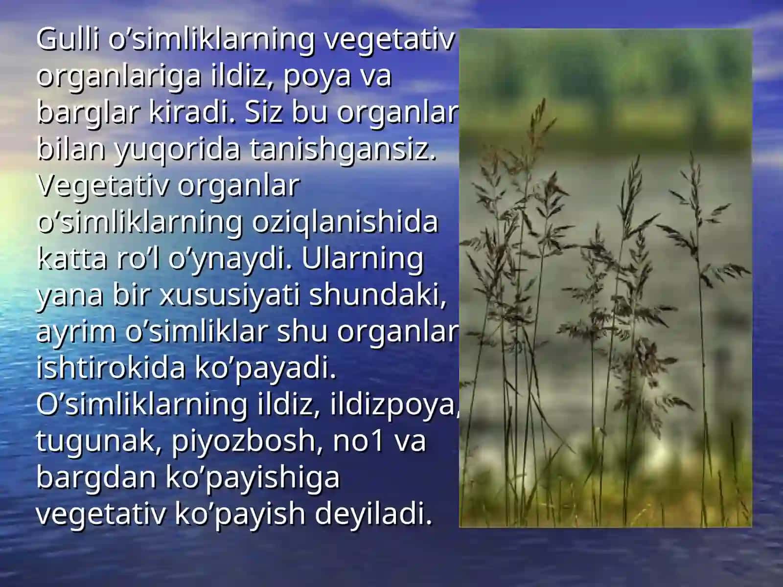 O'simliklarning ko'payishida vegitativ ko'payishni o'rni 2