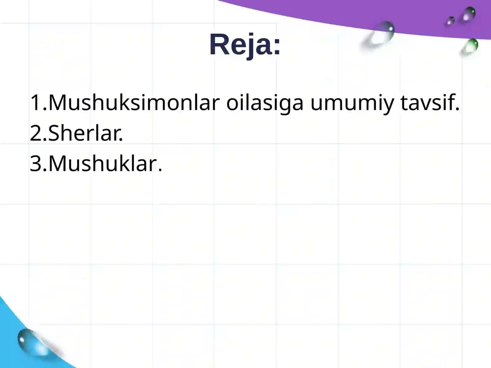 Mushuksimonlar hayot kechirishi va tarqalishi 2