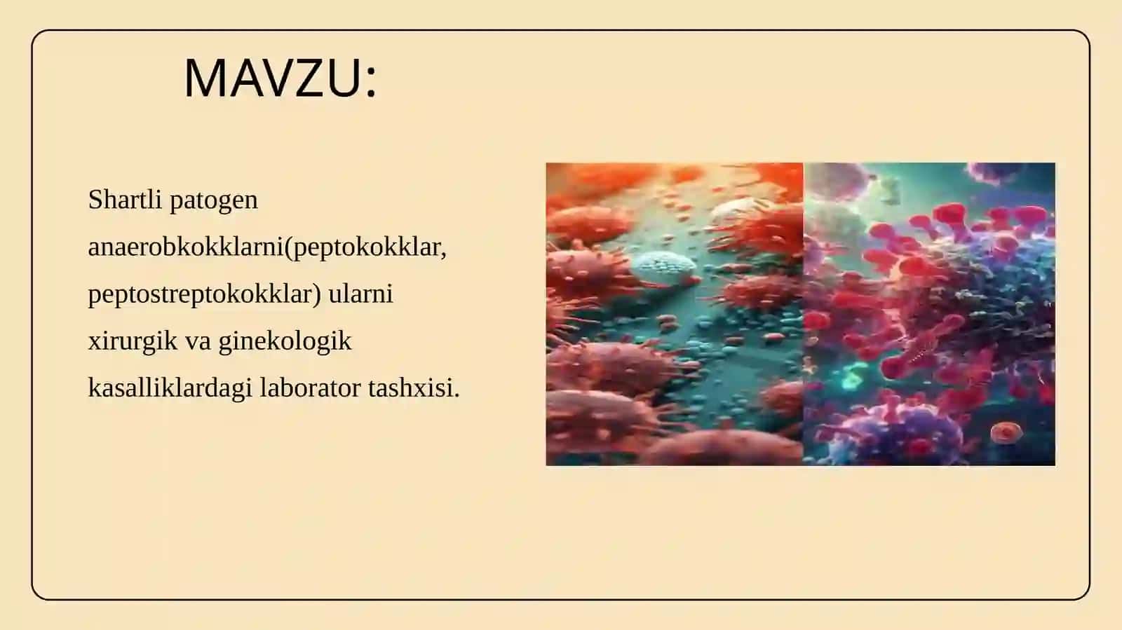 Shartli patogen anaerobkokklarni(peptokokklar, peptostreptokokklar) ularni xirurgik va ginekologik kasalliklardagi laborator tashxisi. 2